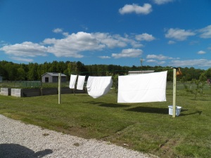 Sheets hanging on the new clothesline